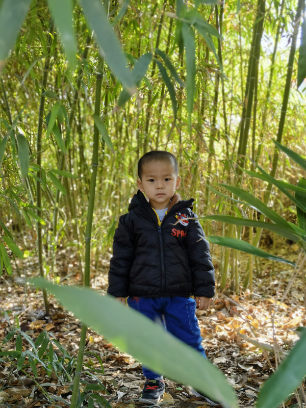 绿茵公园游玩