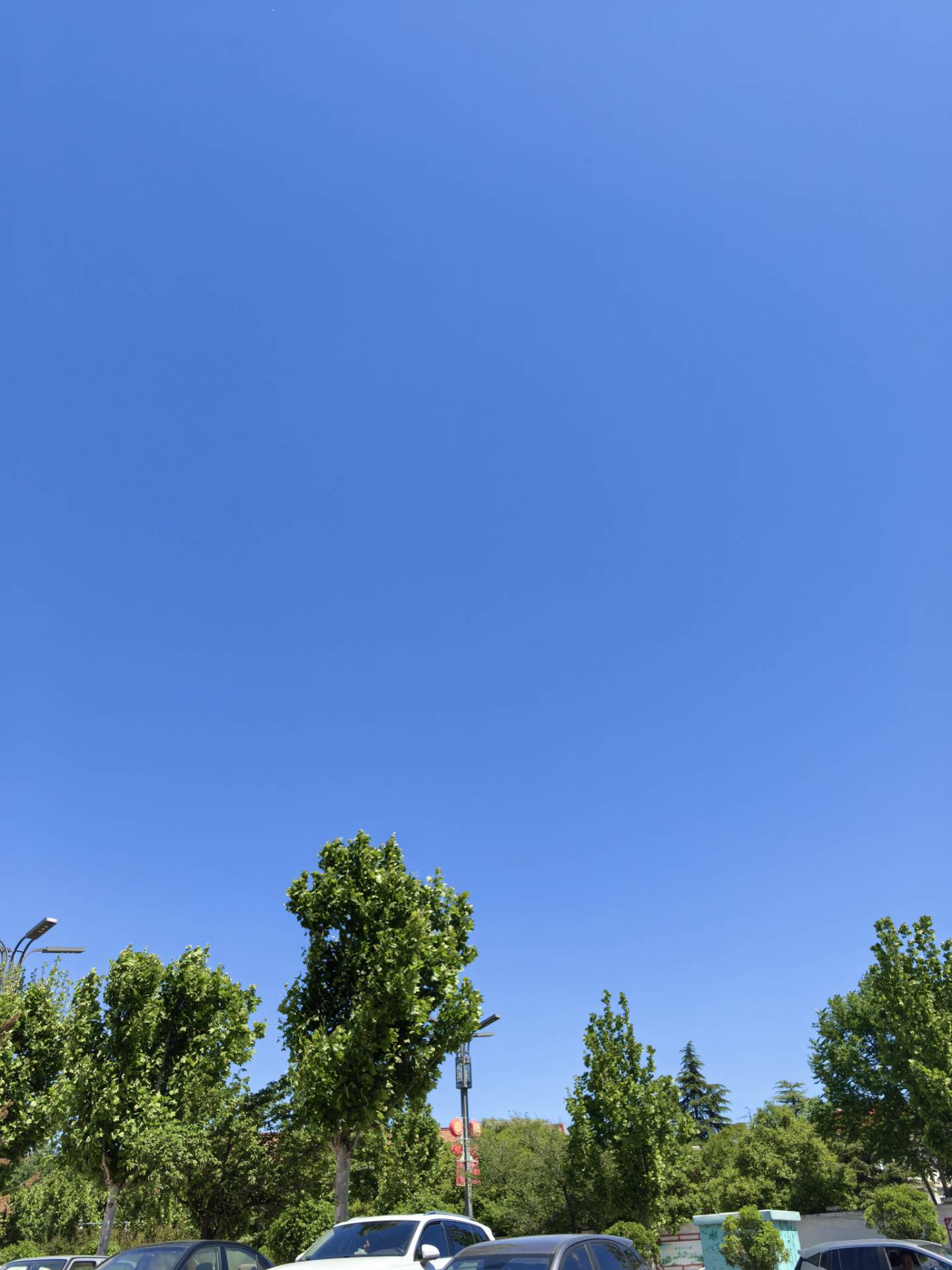 蓝天下树影斑驳
